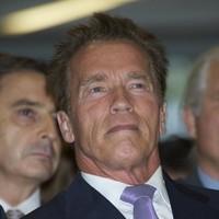 Arnold Schwarzenegger attends the Arnold Classic Europe 2011 party | Picture 97489